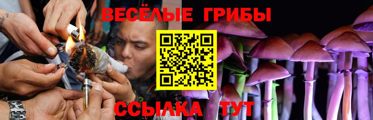 Галлюциногенные грибы мухоморы  Вход с VPN  Королёв 